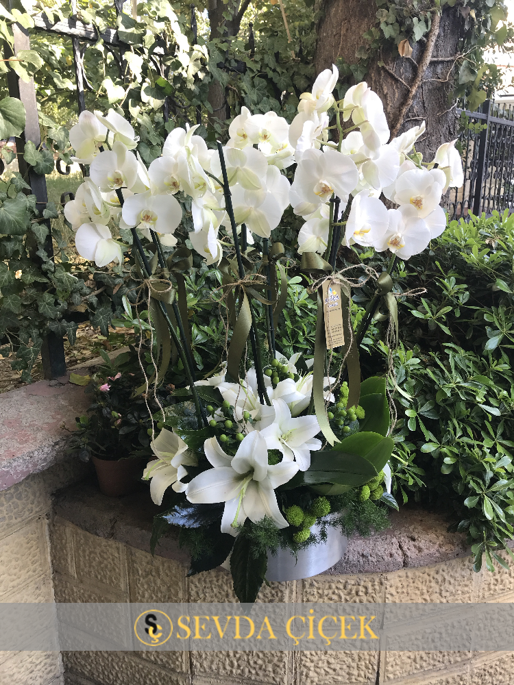 Beyaz Orkide ve Lilyum