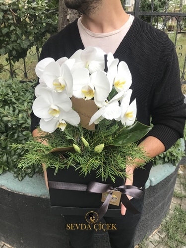 Kutuda Beyaz Orkide Aranjmanı