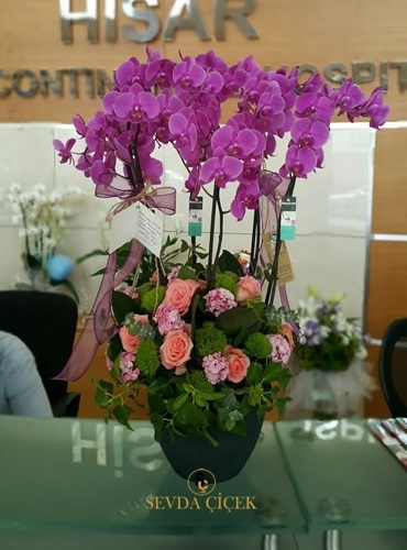 Luxury Flower Orkide