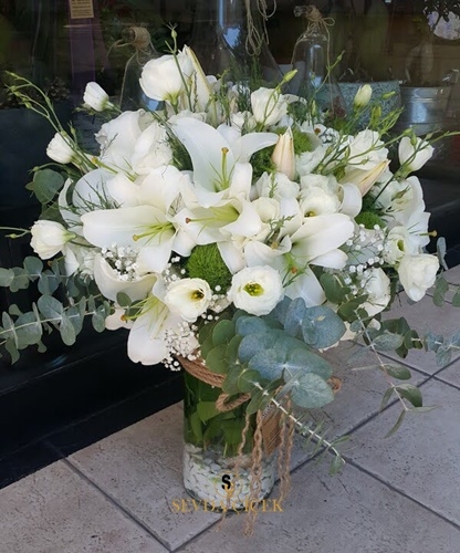 Beyaz Vazo Çiçeği
