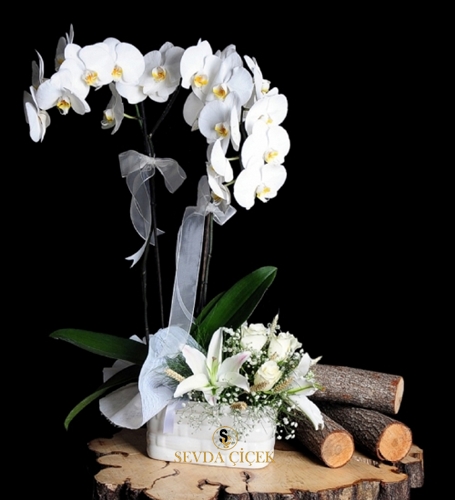 Orkideli Beyaz Çiçek Aranjmanı