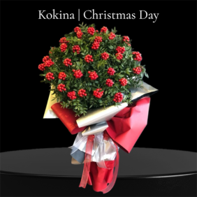  Acıbadem Blumen Neujahrsstrauß Kokina 42 Stück